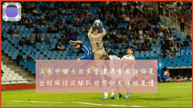 马竞中场卡尔多索遭遇重度扭伤复出时间待定球队将密切关注恢复情况
