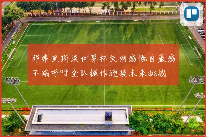邓弗里斯谈世界杯失利感慨自豪感不减呼吁全队振作迎接未来挑战